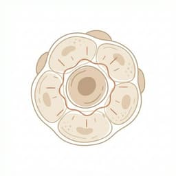 Chronic Inflammation